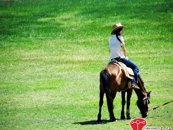 昆明、麗江豪華6天休閑游