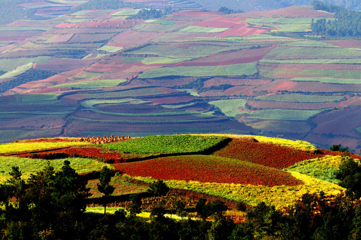 研學(xué)旅行有什么意義？為什么要提倡研學(xué)旅行？