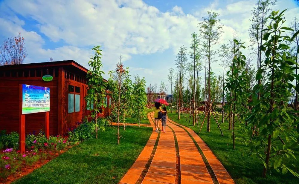 昆明適合徒步的12條線路：線路二昆明環湖東路，一條既美又長的跑道