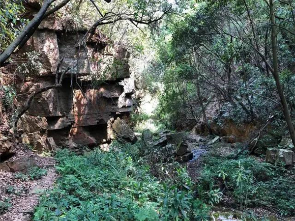 【潮玩】繁星四月，盡情去露營(yíng)踏青吧！