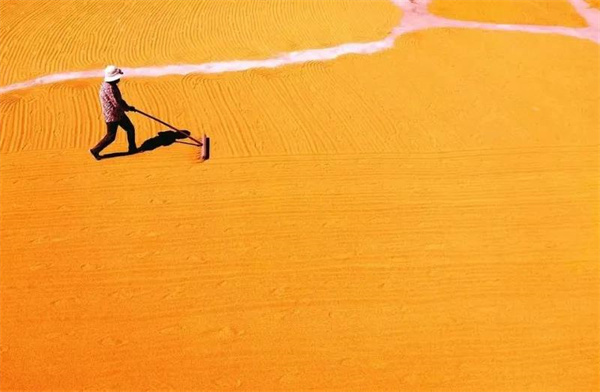 云南少數民族秋收習俗知多少？快來看看吧！