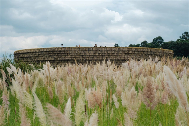 云南旅游,云南旅行社,云南團(tuán)建公司,云南策劃公司,云南會(huì)議會(huì)展,昆明旅游,昆明旅行社,昆明團(tuán)建公司,昆明策劃公司,昆明會(huì)議會(huì)展：氛圍感超絕！大片秒出！彩色蘆葦加持，滇池綠道已經(jīng)美到next level了！快沖~